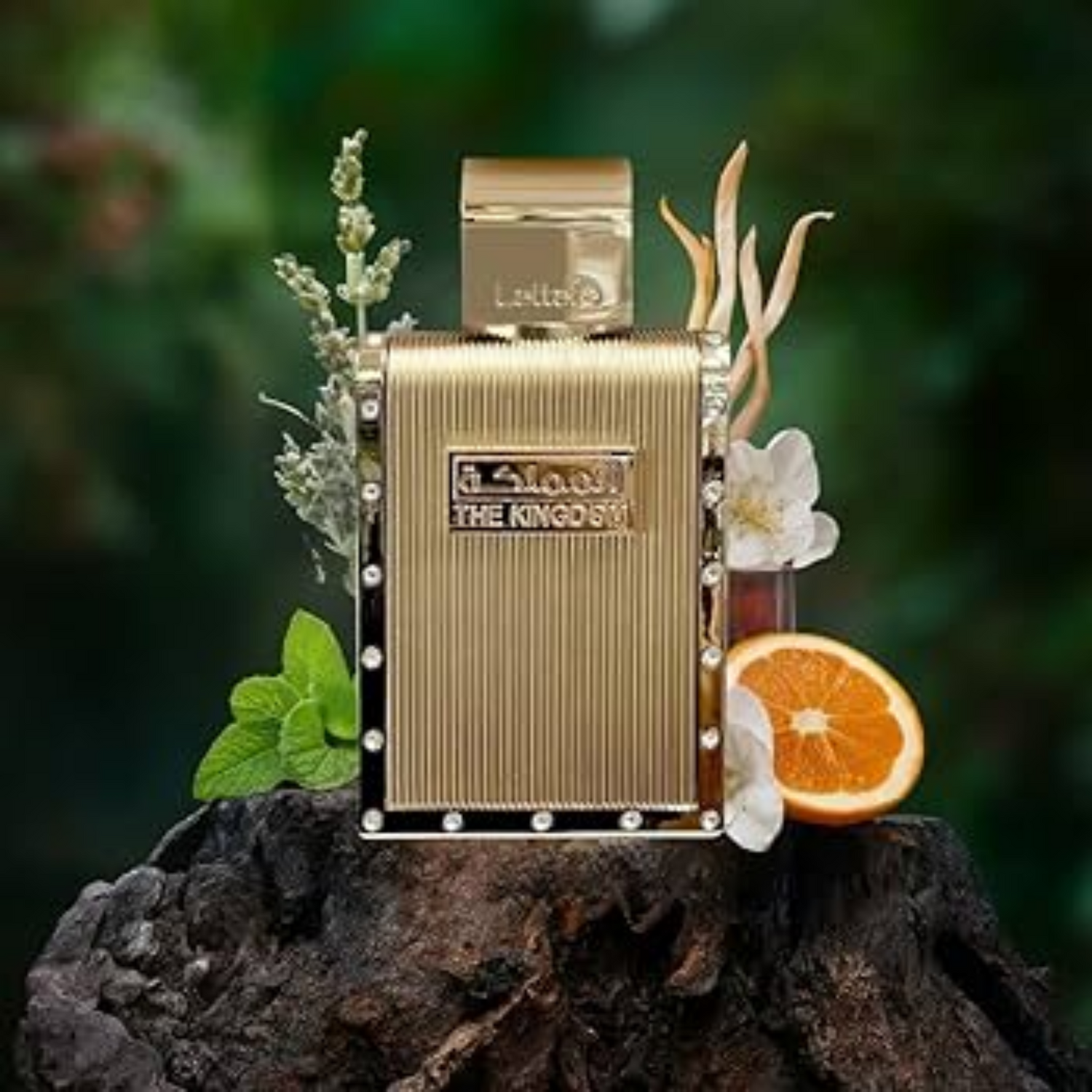 Discover Lattafa The Kingdom Eau De Perfume for Men. Aromatic EDP with tobacco, vanilla & warm resins. A smooth Le Male Elixir alternative for men. Shop now