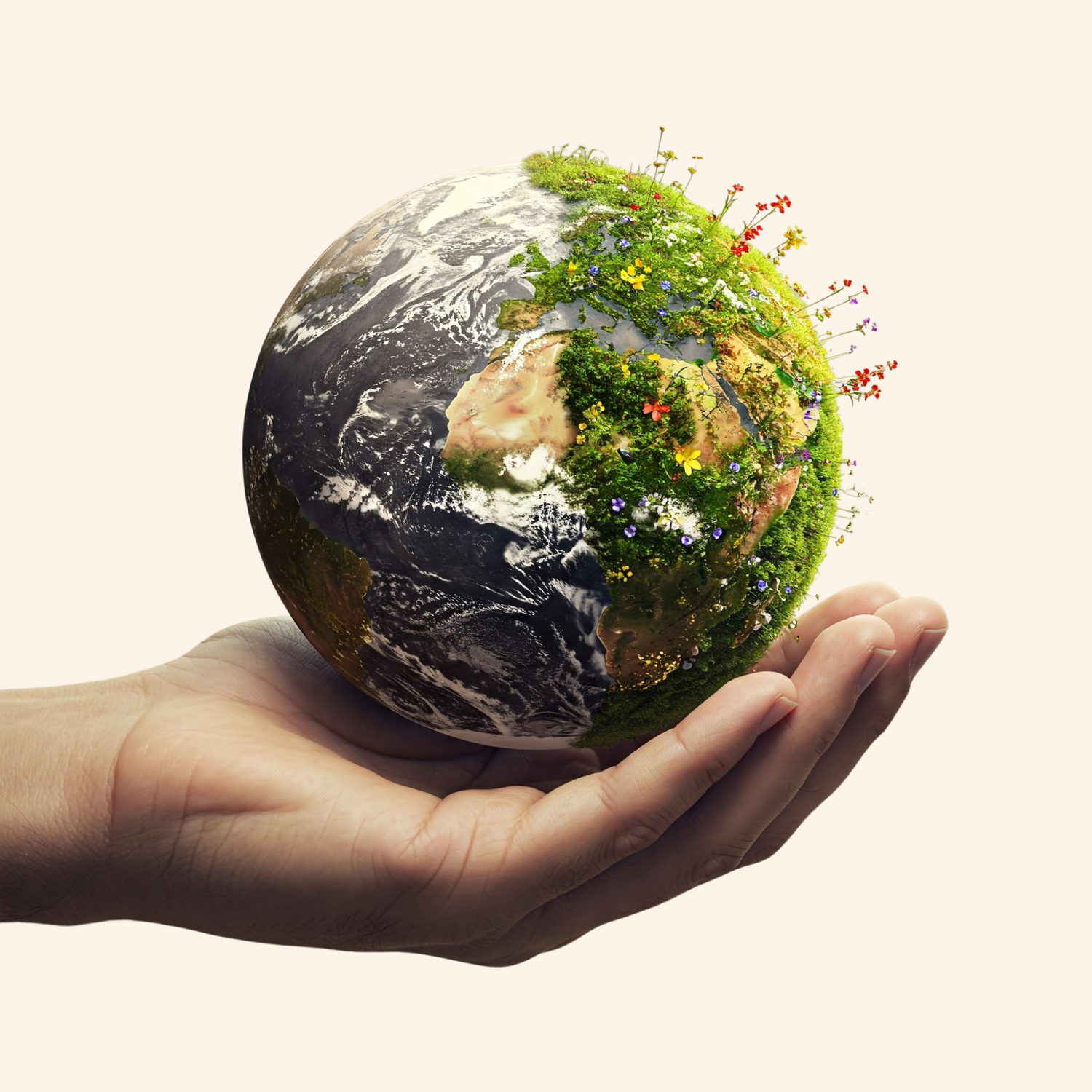We believe in the power of giving. We provide sustainable products and aim for 100% sustainability, ensuring what we give today benefits tomorrow’s world.