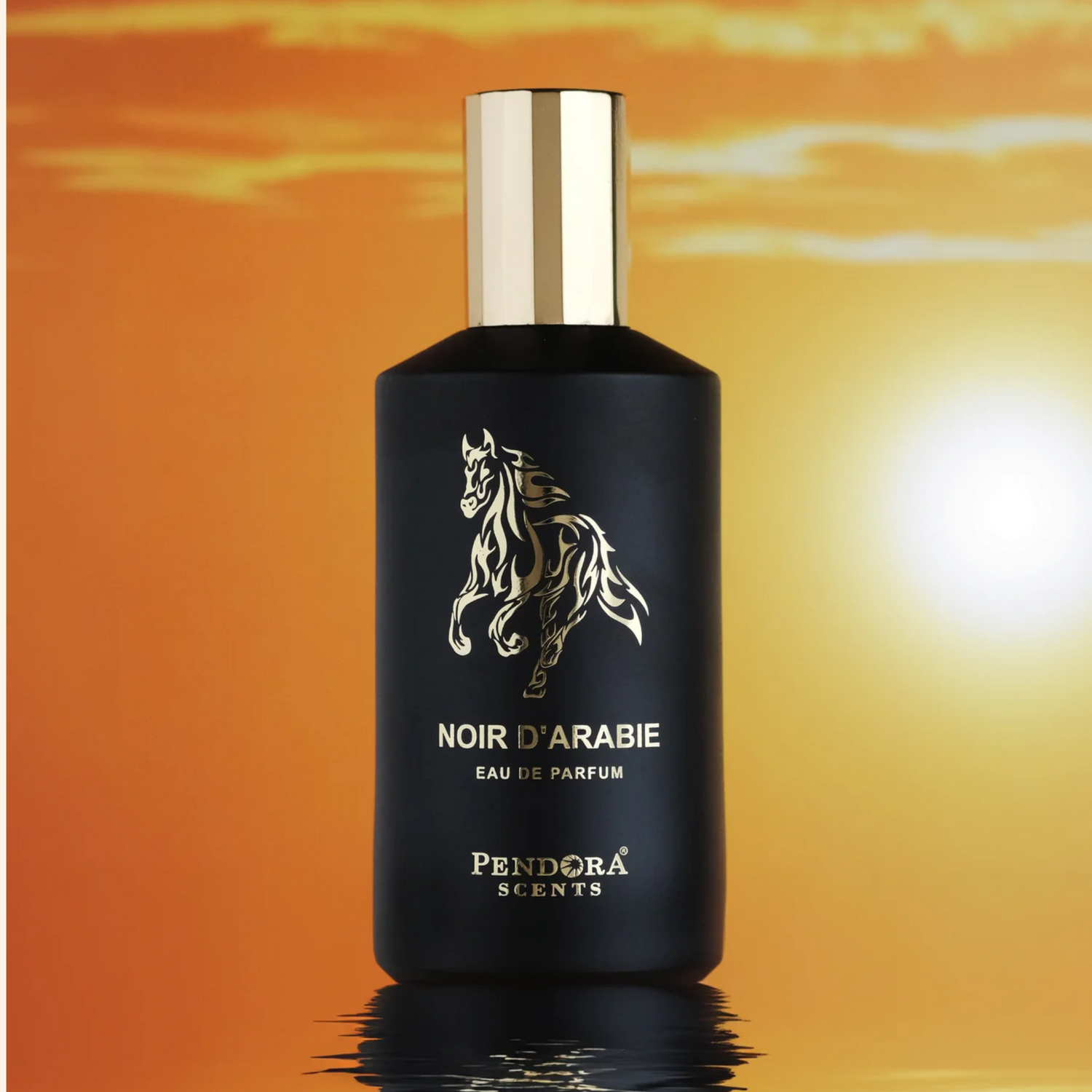 Men's Perfume