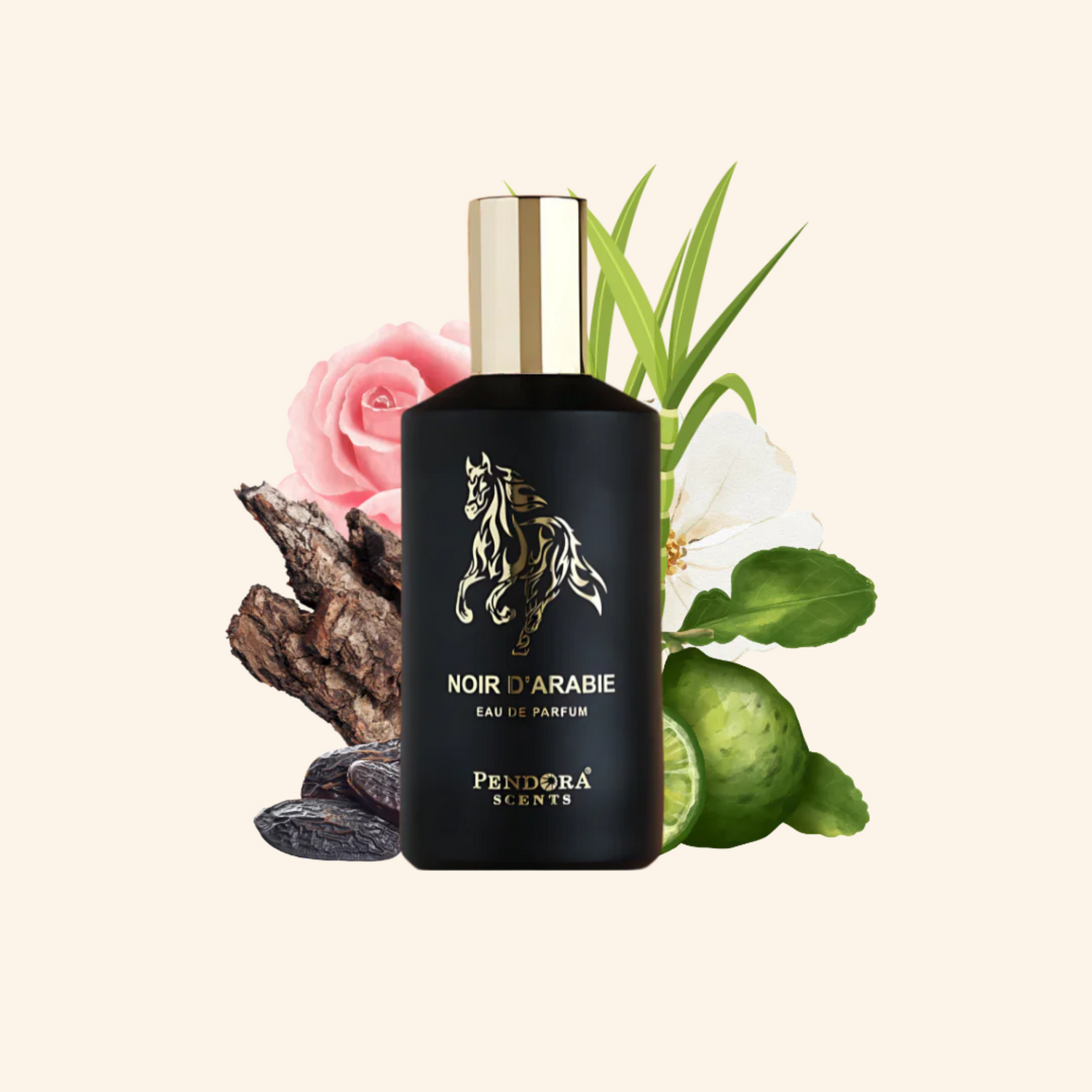 Pendora Scents Noir D'Arabie UK. Rich rose-oud EDP blending saffron, Bulgarian rose, oud & sweet amber. Arabian Tonka alternative. Shop now at Nura bliss UK
